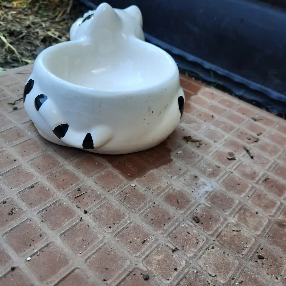 Water/Food dish